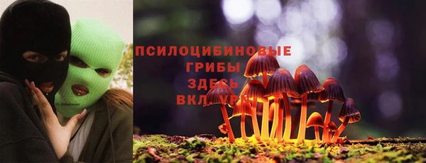 ПСИЛОЦИБИНОВЫЕ ГРИБЫ Снежногорск