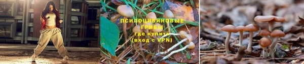 шишки Снежинск