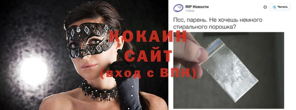 шишки Снежинск