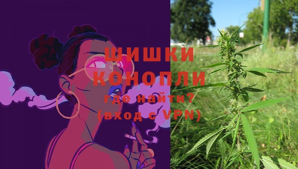 ПСИЛОЦИБИНОВЫЕ ГРИБЫ Снежногорск