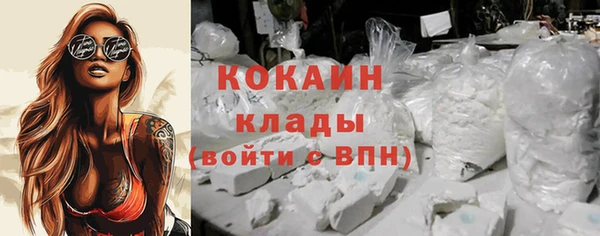 ПСИЛОЦИБИНОВЫЕ ГРИБЫ Снежногорск