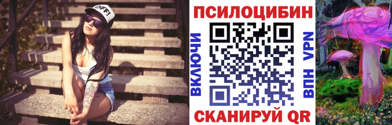 Псилоцибиновые грибы Psilocybe Грязовец